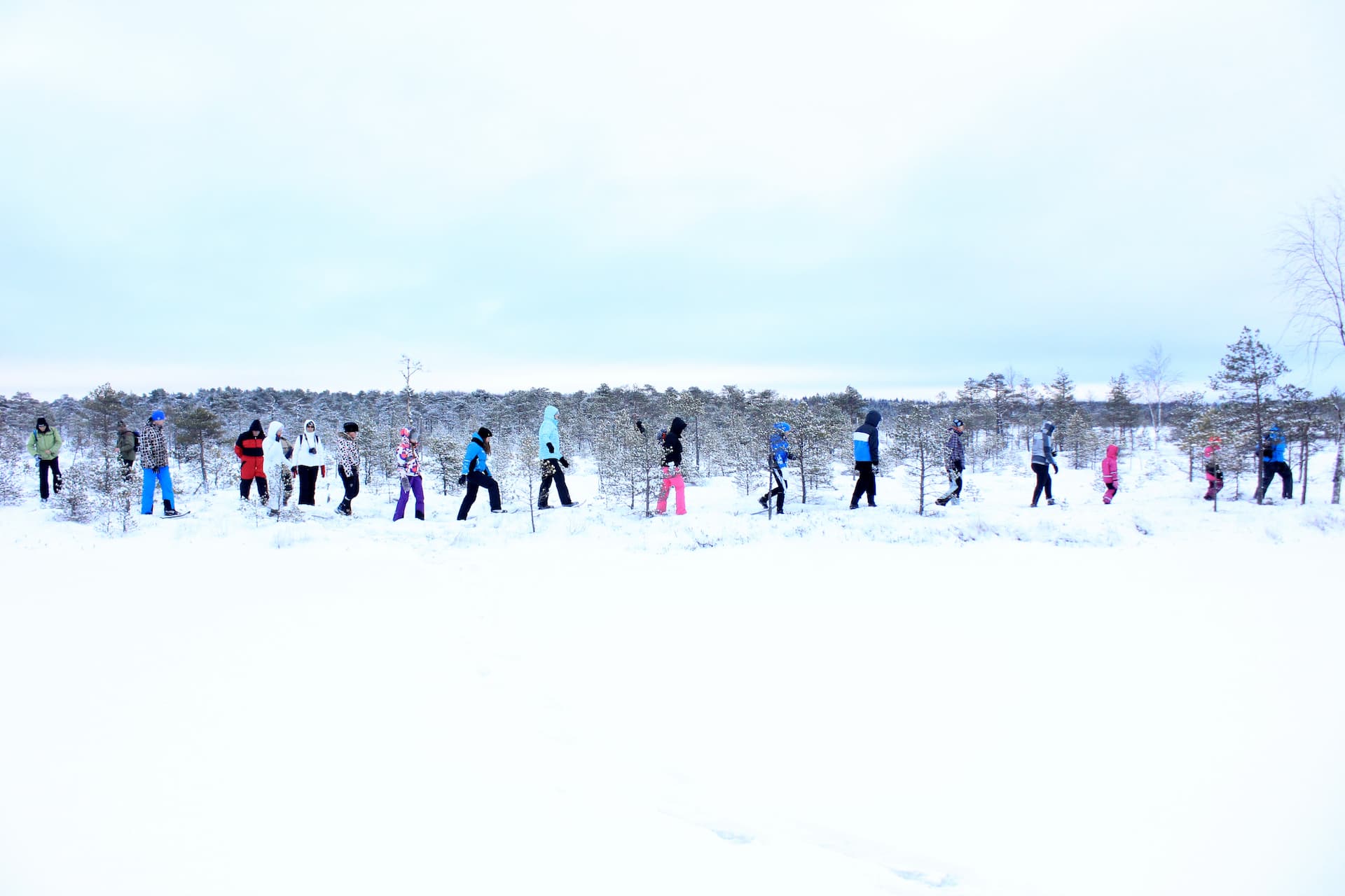 Räätsamatk Lõuna-Eestis, Kaasikjärve rabas, Endla soostikus