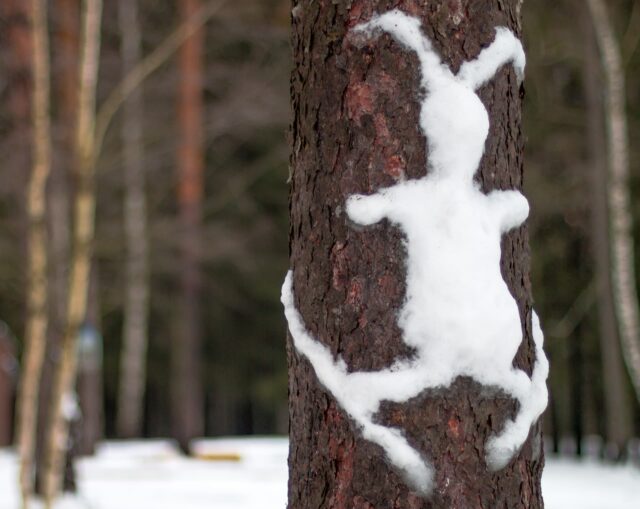 Sulalume tõukekelgumatk Otepääl, Pühajärve radadel